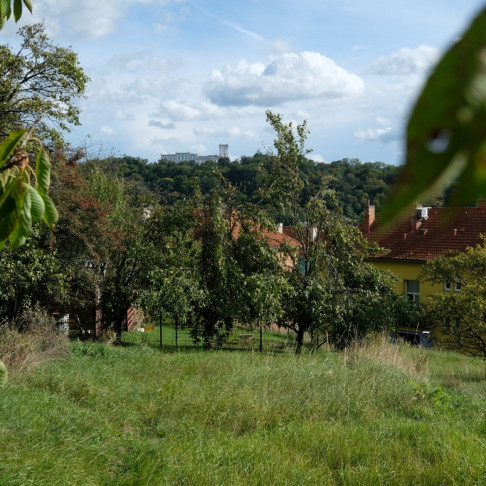 Prodej zahrady v Bojkovicích