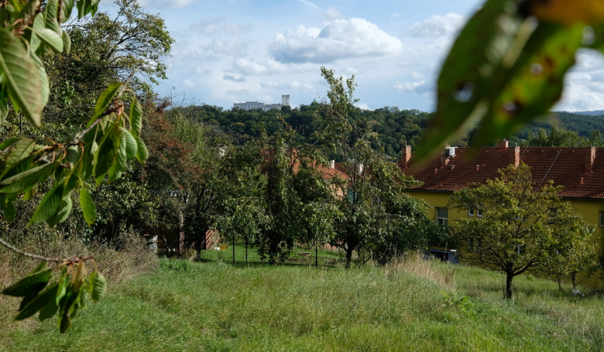 Prodej zahrady v Bojkovicích