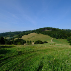 Prodej chaty na Lopeníku