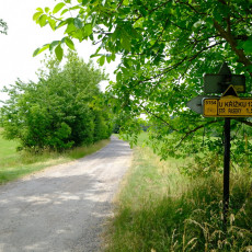 Prodej chalupy ve Stříbrnicích