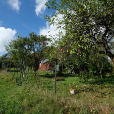 Prodej zahrady v Bojkovicích