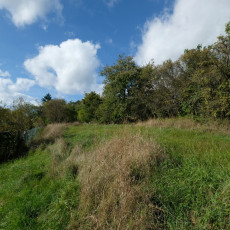 Prodej zahrady v Bojkovicích