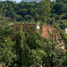 Prodej zahrady v Bojkovicích