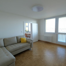 Pronájem bytu 2+1 v Uherském Brodě