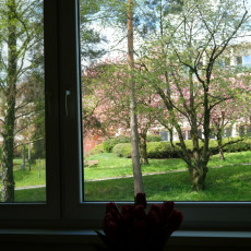 Pronájem bytu 2+1 v Uherském Brodě