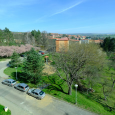 Pronájem bytu 2+1 v Uherském Brodě