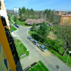 Pronájem bytu 2+1 v Uherském Brodě