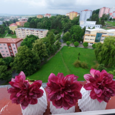 Prodej bytu 1+1 v Uherském Brodě