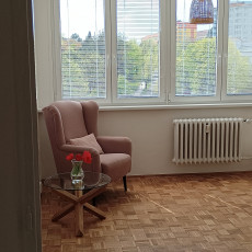 Pronájem bytu 1+1 v Uherském Brodě